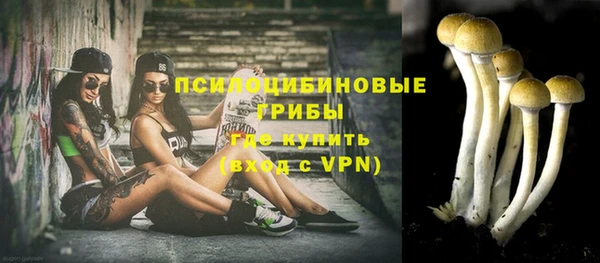 винт Аркадак