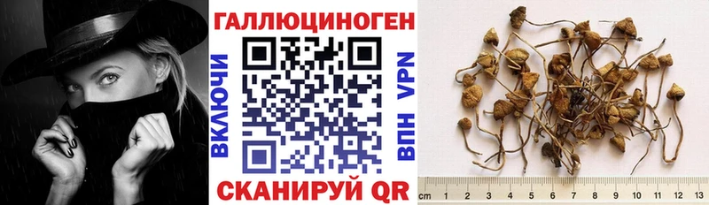 Галлюциногенные грибы мицелий Дорогобуж